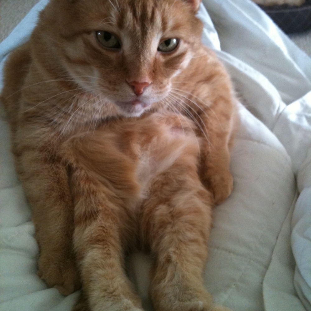 Meet your Posher, Sara